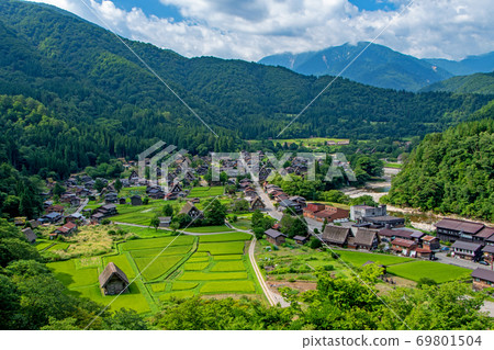 從天文台眺望，夏天開始出現稻穗的白川鄉的景色 69801504