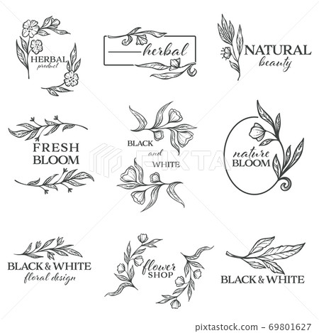 Herbal product and natural beauty, minimalist banners vector 69801627