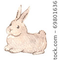 水彩兔 69801636