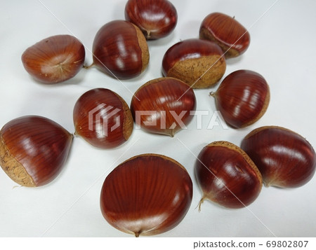栗栗栗 栗栗栗 69802807