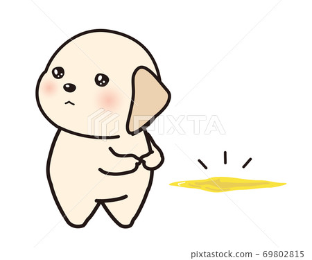 Depressed puppy who fails to pee Depressed puppy who fails to pee 69802815