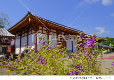 奈良古城世界遺產Yakushiji寺 69802829