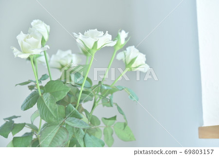 窗花 69803157