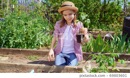 teen girl in hat planting seedlings teen girl in hat planting seedlings 69803601