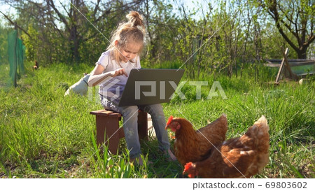 little girl with laptop and chickens in village little girl with laptop and chickens in village 69803602