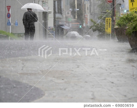 Pedestrian in the rain Pedestrian in the rain 69803659