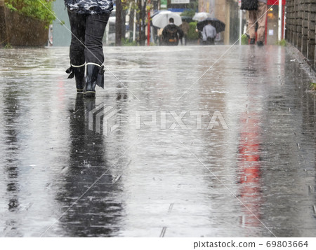 Pedestrian in the rain Pedestrian in the rain 69803664