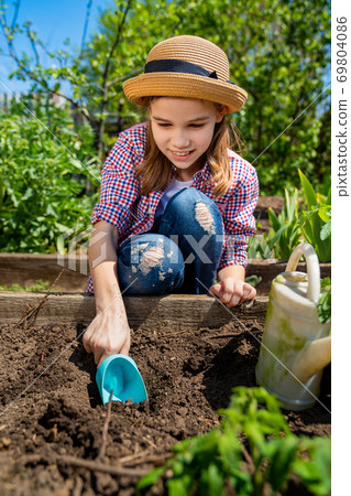 little teen girl in hat planting seedlings little teen girl in hat planting seedlings 69804086