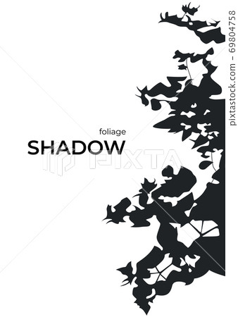 Black silhouette shadows from trees and branches Black silhouette shadows from trees and branches 69804758