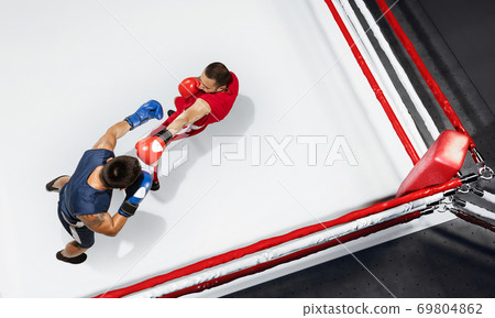 Two professional boxers boxing on white background on the ring, action, top view Two professional boxers boxing on white background on the ring, action, top view 69804862