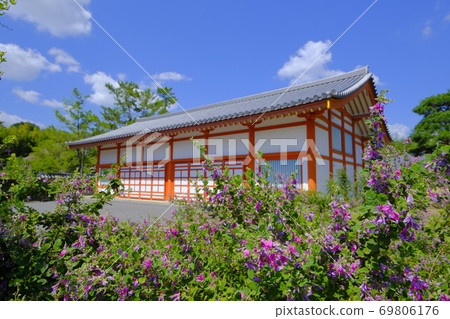 奈良古城的Yakushiji寺:gi的花開在寺的側面 奈良古城的Yakushiji寺:gi的花開在寺的側面 69806176