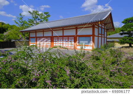 Yakushiji Temple in the ancient city of Nara: Hagi flowers in full bloom at Genjo Sanzoin Garai Waki Yakushiji Temple in the ancient city of Nara: Hagi flowers in full bloom at Genjo Sanzoin Garai Waki 69806177