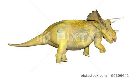 Triceratops Triceratops 69806641