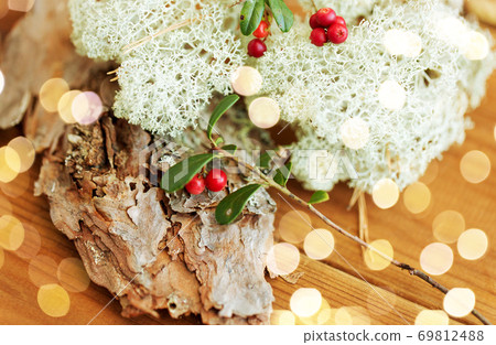close up of cowberry and reindeer lichen moss close up of cowberry and reindeer lichen moss 69812488