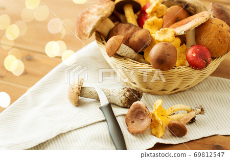 basket of different edible mushrooms and knife 69812547