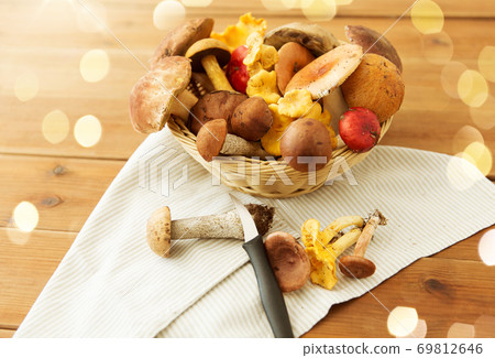 basket of different edible mushrooms and knife 69812646