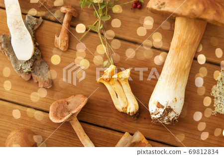 different edible mushrooms on wooden background 69812834
