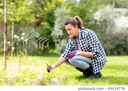 woman weeding flowerbed at summer garden 69814776