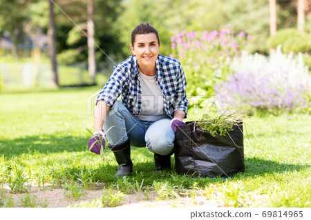 woman weeding flowerbed at summer garden woman weeding flowerbed at summer garden 69814965