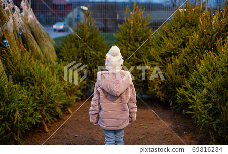 little girl choosing christmas tree at market 69816284