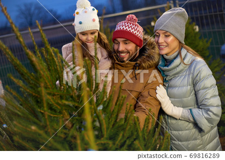 happy family choosing christmas tree at market happy family choosing christmas tree at market 69816289