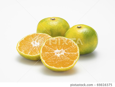 溫州早橙 溫州早橙 69816375
