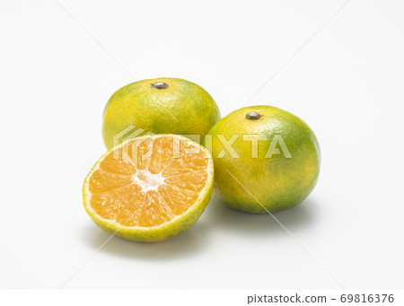 溫州早橙 69816376