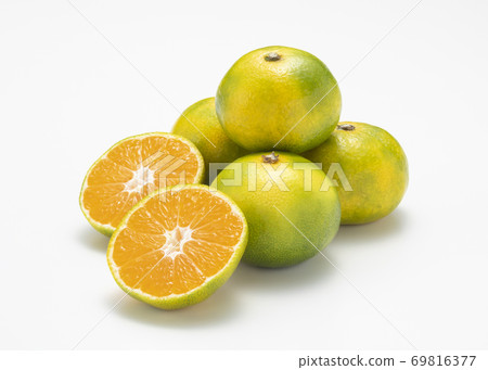 溫州早橙 溫州早橙 69816377