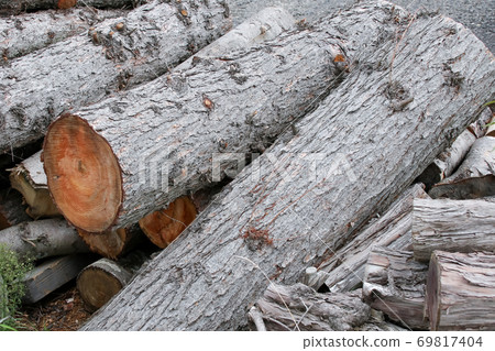 Timber, wood, timber, cutting, materials Timber, wood, timber, cutting, materials 69817404