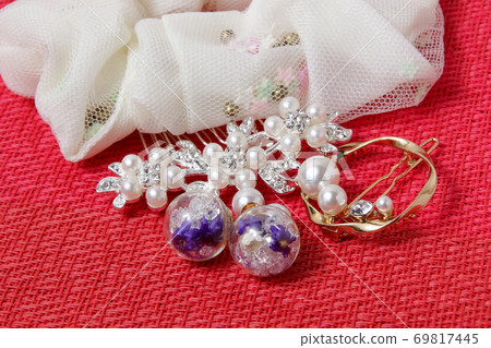 飾品，時裝，裝飾，裝飾品，髮夾，髮飾，時裝，婦女，髮夾 69817445