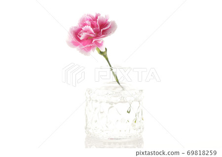 A single carnation inserted in a transparent glass container taken on a white background A single carnation inserted in a transparent glass container taken on a white background 69818259