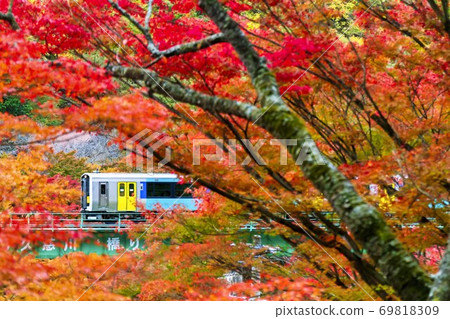 Train on the Suigun Line that crosses the autumn leaves and the railway bridge Yamatsuri Town, Fukushima Prefecture 69818309