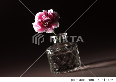 A single carnation in a transparent glass container 69818526