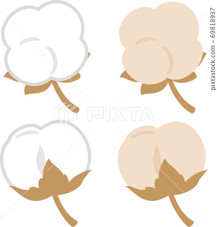 White and brown cotton White and brown cotton 69818937