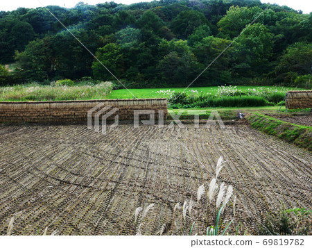 自然，風景，攝影，秋天的豐收，岩手縣北岩手縣北稻岳 69819782