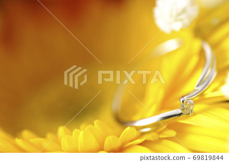 花中的鑽石戒指 花中的鑽石戒指 69819844