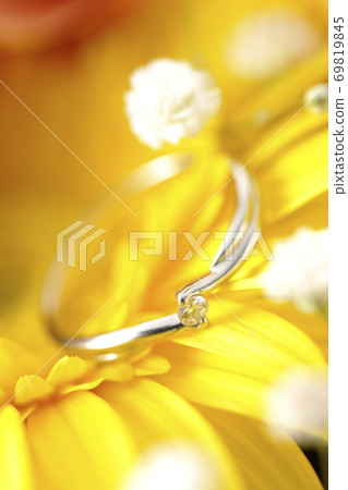 花中的鑽石戒指 花中的鑽石戒指 69819845