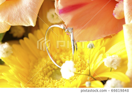 花中的鑽石戒指 69819848