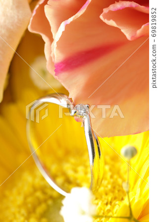 花中的鑽石戒指 花中的鑽石戒指 69819852