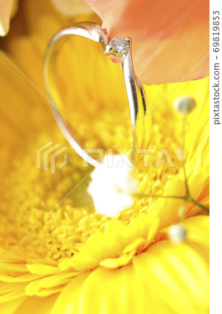 花中的鑽石戒指 69819853