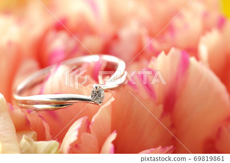 花中的鑽石戒指 花中的鑽石戒指 69819861