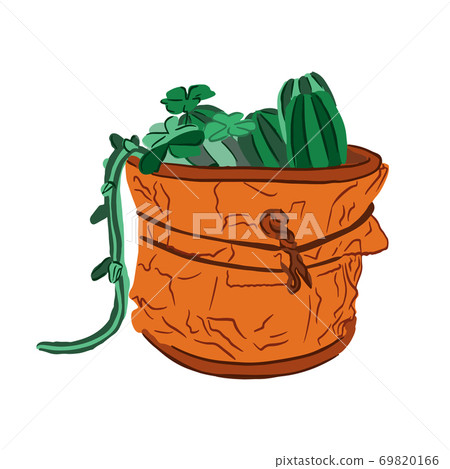 Isolated green plant in brown pot Isolated green plant in brown pot 69820166