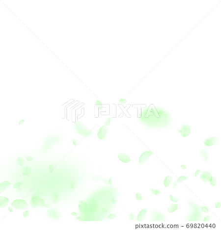Green flower petals falling down. Exquisite romant 69820440