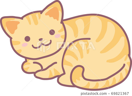 布朗貓 布朗貓 69821367