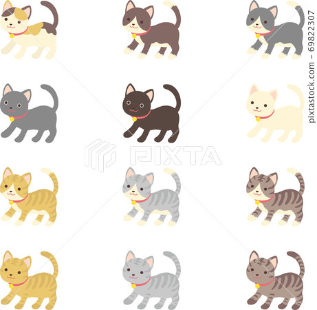 Various cats Various cats 69822307