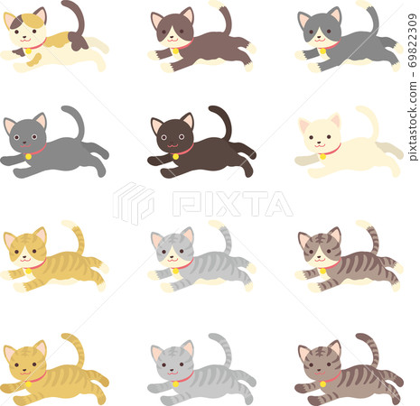 Various cats 69822309