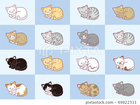 Various cats Various cats 69822311