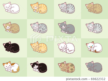 Various cats Various cats 69822312