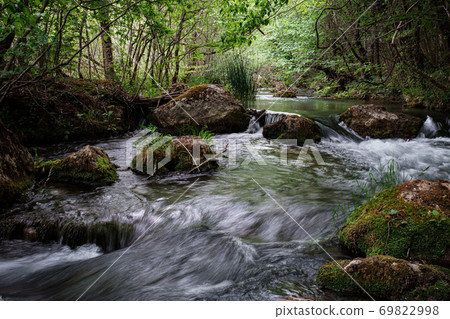 Full-flowing river in a green sunny forest. 69822998
