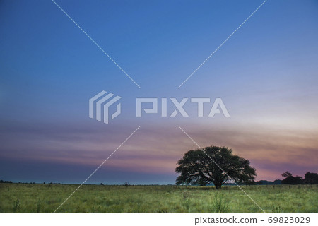 Pampas sunset landscape, La Pampa, Argentina Pampas sunset landscape, La Pampa, Argentina 69823029